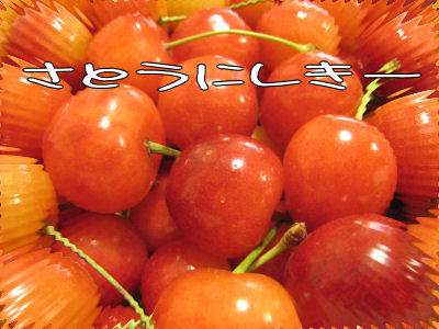 a0045990_35127.jpg
