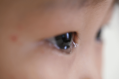 d0100192_2254376.gif