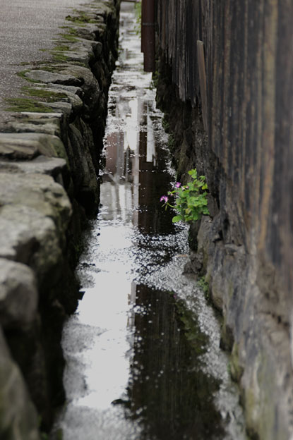 d0069495_0174887.jpg