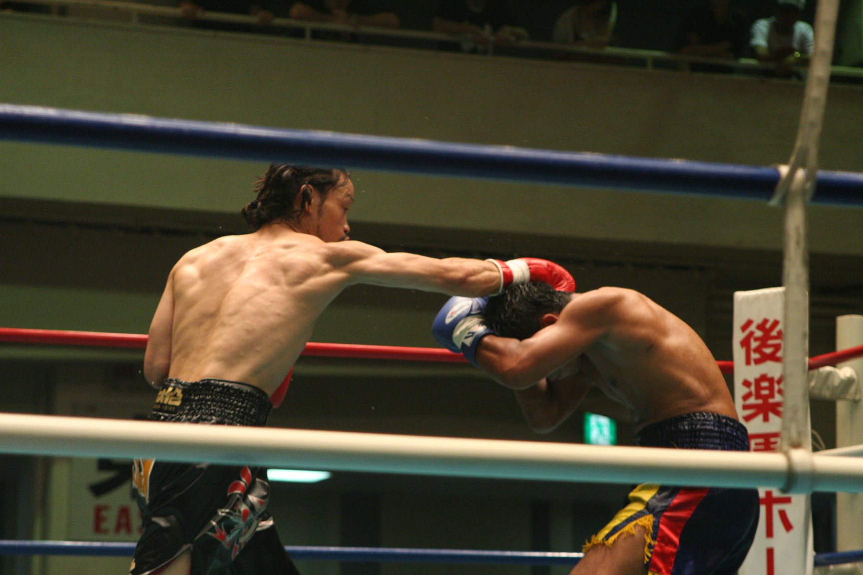 長瀬慎弥、東洋太平洋前哨戦にKO勝利！ （7.5後楽園ホール