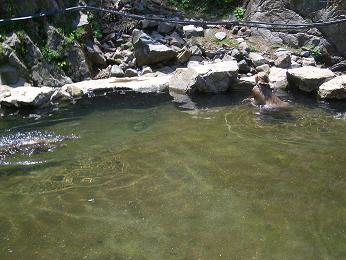 f0127098_8144551.jpg
