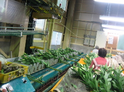 f0067514_22492216.jpg