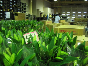 f0067514_22541245.jpg