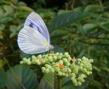 b0032617_2595867.jpg