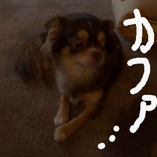 c0036617_12264158.jpg