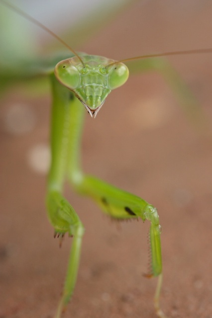 c0089419_2344275.jpg