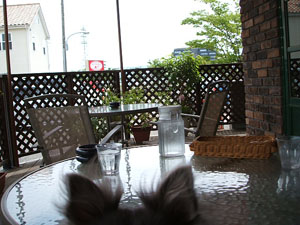 わんこと一緒にランチ~!_f0129627_18133193.jpg