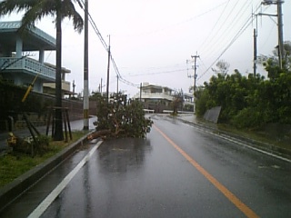 道がぁ～(-.-;)_c0070933_1520143.jpg