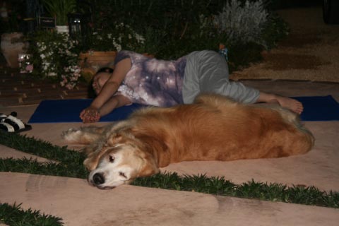 Doga: Yoga for Dogs　･･･まじで？！_c0057850_11432919.jpg