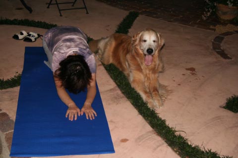 Doga: Yoga for Dogs　･･･まじで？！_c0057850_11435891.jpg