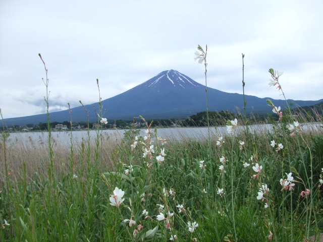 b0070657_16115735.jpg