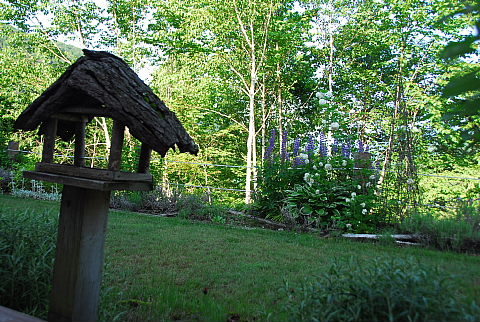 b0053765_17954.jpg