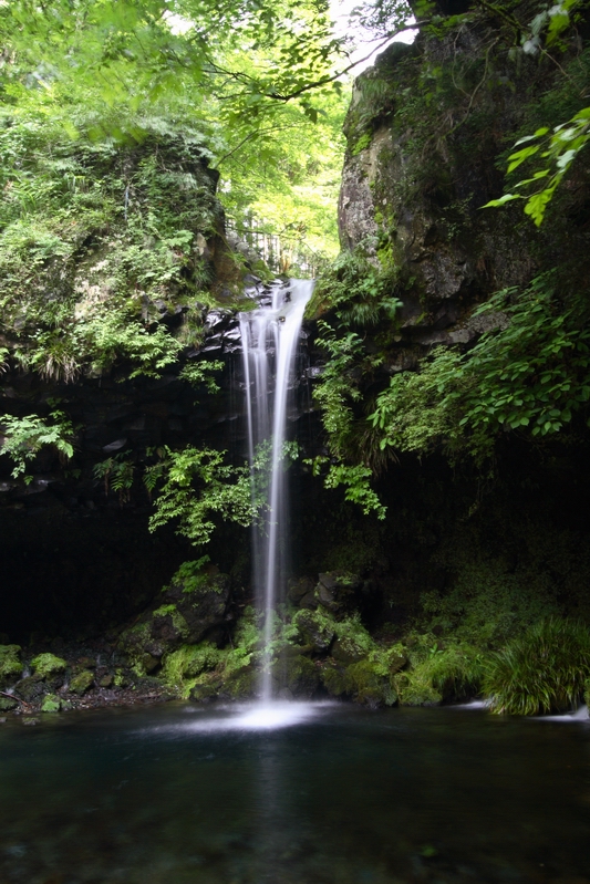 f0105478_21274190.jpg