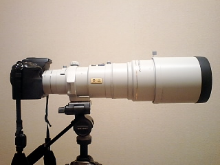 AF APO 400mm F4.5 G : BLOG The Day