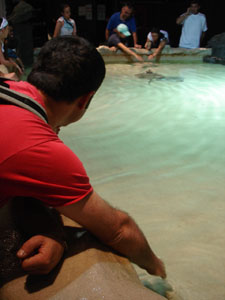 水族館に行きました~ジェノバ_f0106597_22101693.jpg