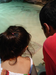 水族館に行きました~ジェノバ_f0106597_22134069.jpg