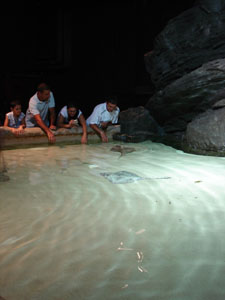 水族館に行きました~ジェノバ_f0106597_22756.jpg