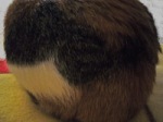 f0036700_1301340.jpg