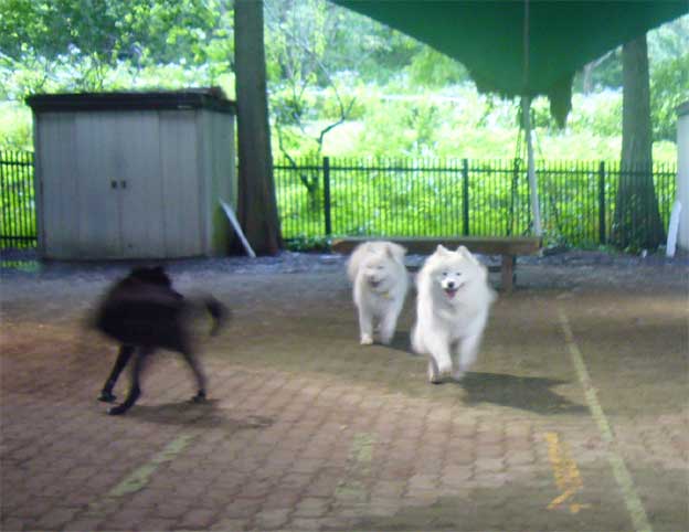 e0018604_19341633.jpg