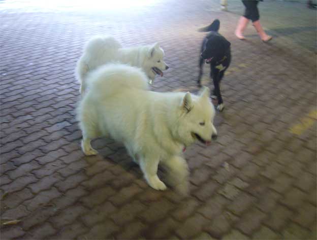 e0018604_1934571.jpg