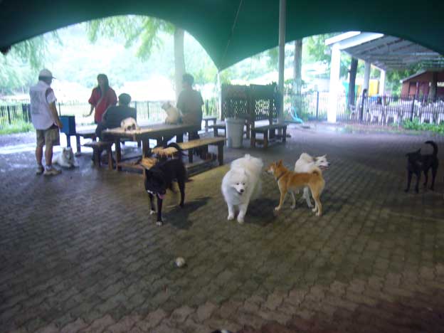 e0018604_19385281.jpg