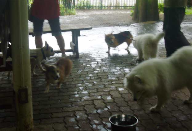 e0018604_1952018.jpg