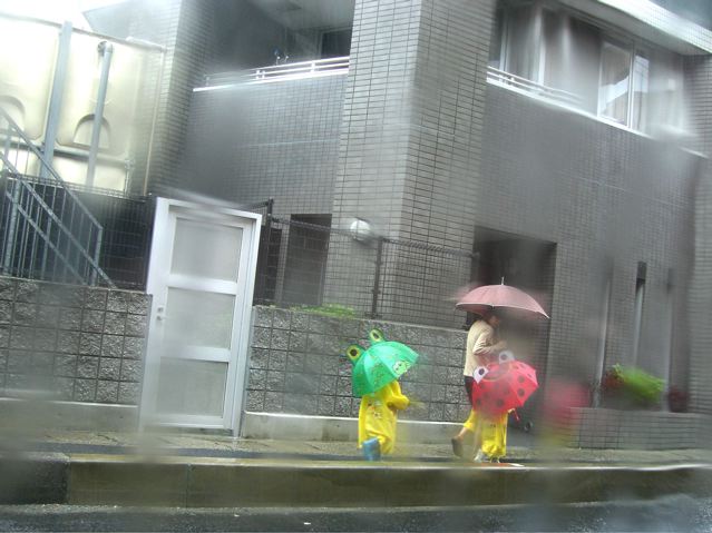 梅雨のひとこま_c0094808_2257273.jpg