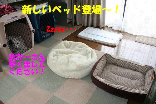 f0121712_17484283.jpg