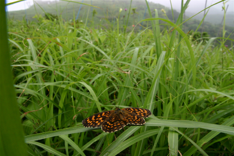 d0054625_13103589.jpg