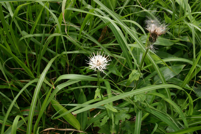 d0054625_14245497.jpg