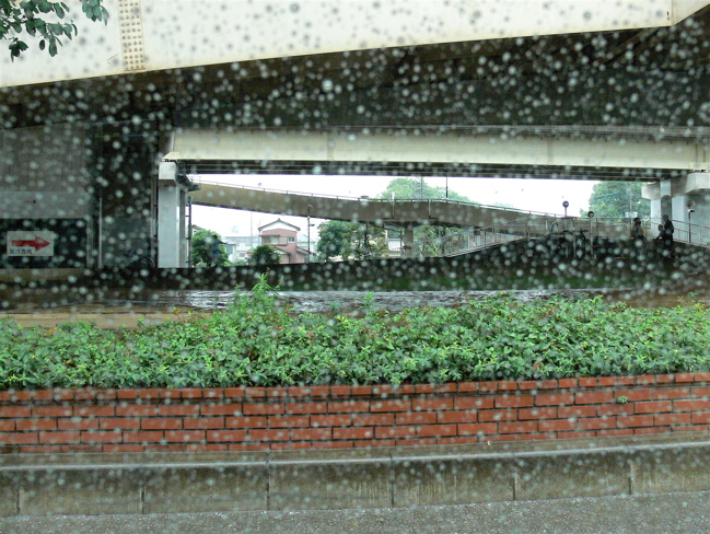 台風が来るよ〜(v_v)..._b0065730_2342392.jpg