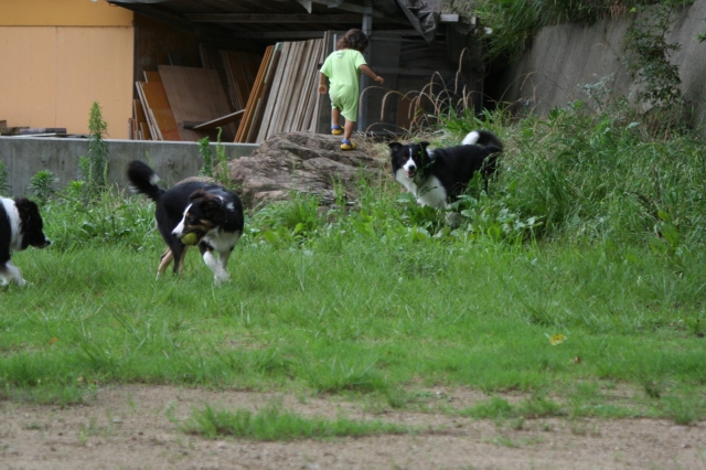 e0111449_0794.jpg