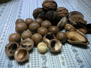 a0053063_1152756.jpg