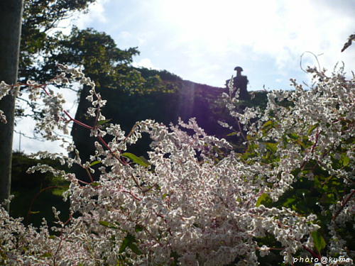 f0050468_11361022.jpg
