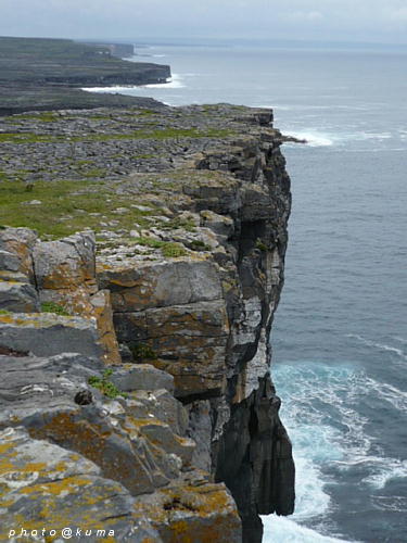 f0050468_11425656.jpg