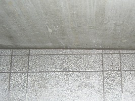 b0003400_21562823.jpg