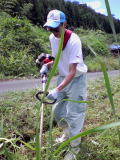 e0124705_22431412.jpg