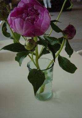 c0015607_1465773.jpg