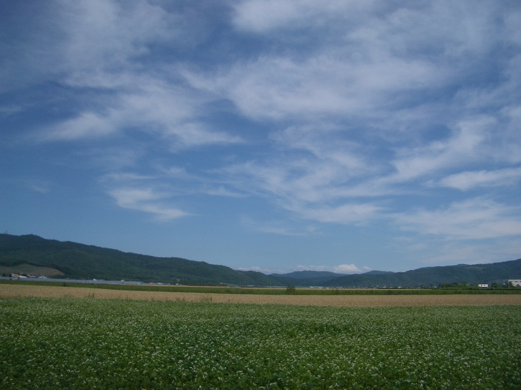 f0008412_21553033.jpg
