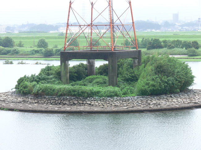 台風が来るよ〜2 定点観測?..._b0065730_18273918.jpg