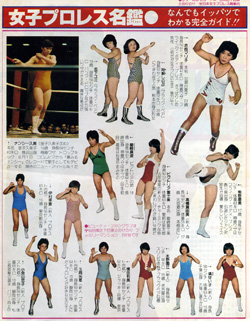 女子プロレス名鑑・・・_a0040232_2031016.jpg