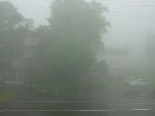 霧で真っ白_a0023246_23144951.jpg
