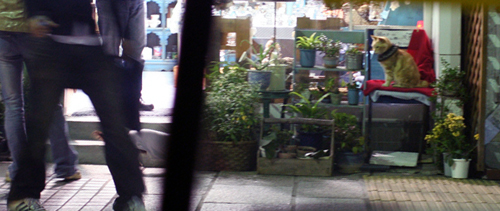 e0076761_1533467.jpg