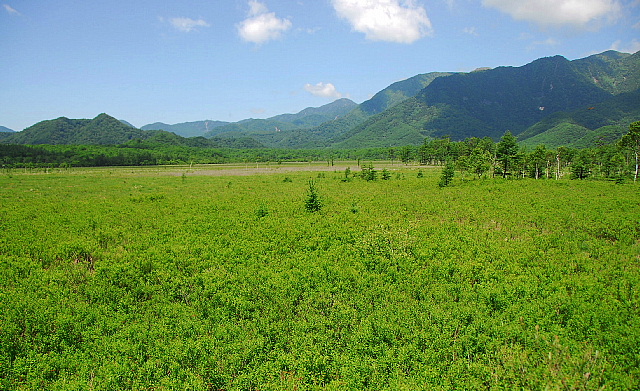 b0053765_23205092.jpg