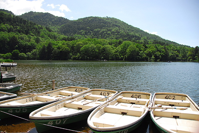 b0053765_23475.jpg