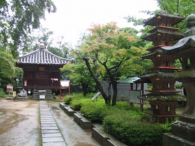 d0091279_19561254.jpg