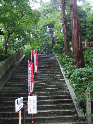 d0091279_202523.jpg