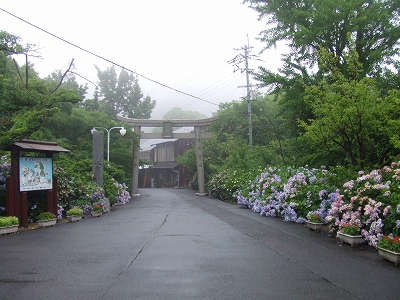 d0091279_21431347.jpg