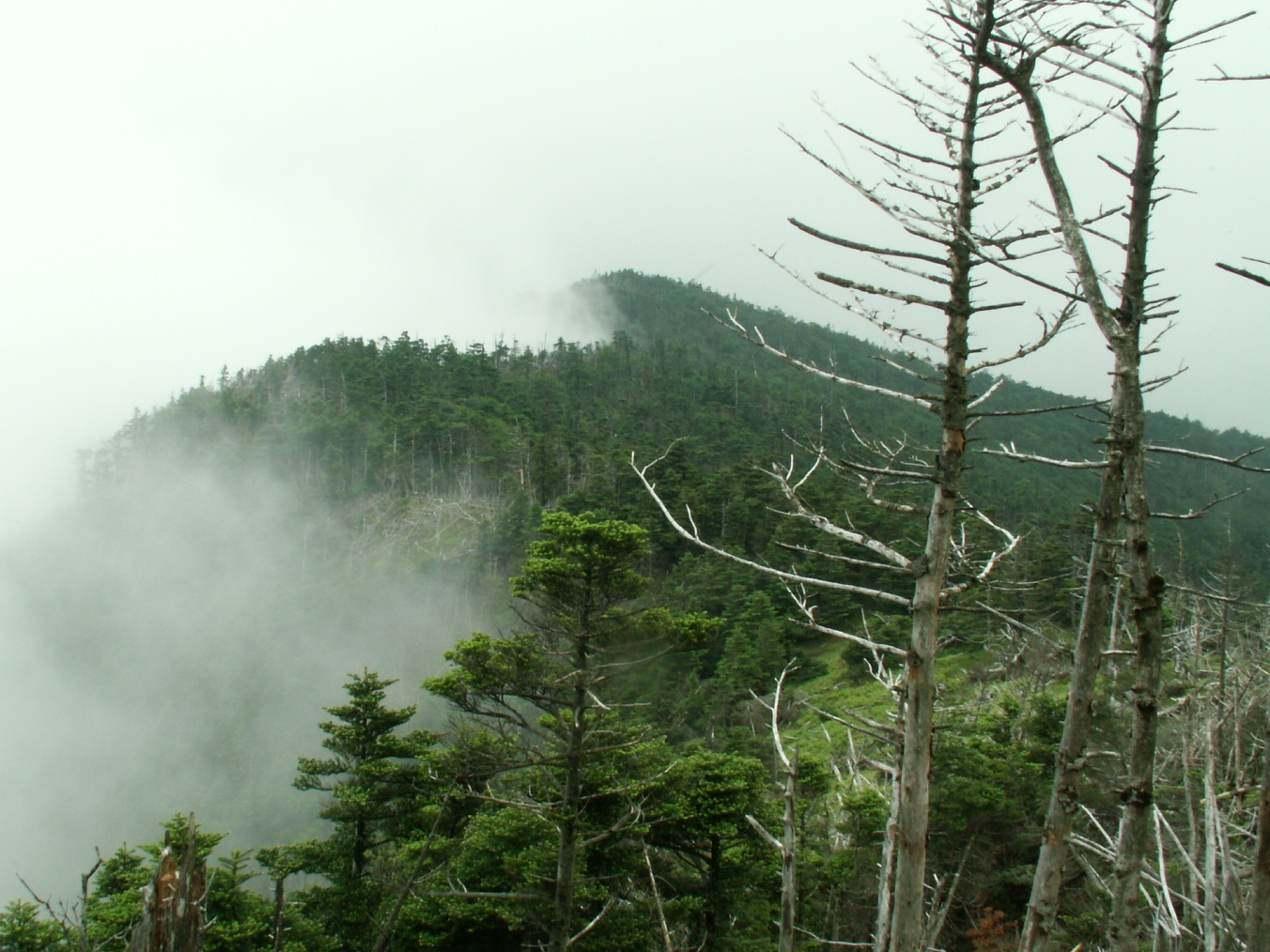 弥山（１８９５ｍ）・八経ヶ岳（１９１４．９ｍ）_b0039898_10302370.jpg