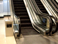 b0026822_1964840.gif